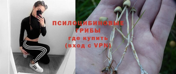 дживик Михайлов