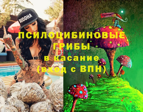 ГАЛЛЮЦИНОГЕННЫЕ ГРИБЫ Михайловск
