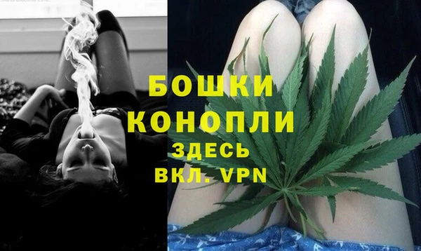 ГАЛЛЮЦИНОГЕННЫЕ ГРИБЫ Михайловск