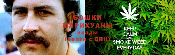 ГАЛЛЮЦИНОГЕННЫЕ ГРИБЫ Михайловск